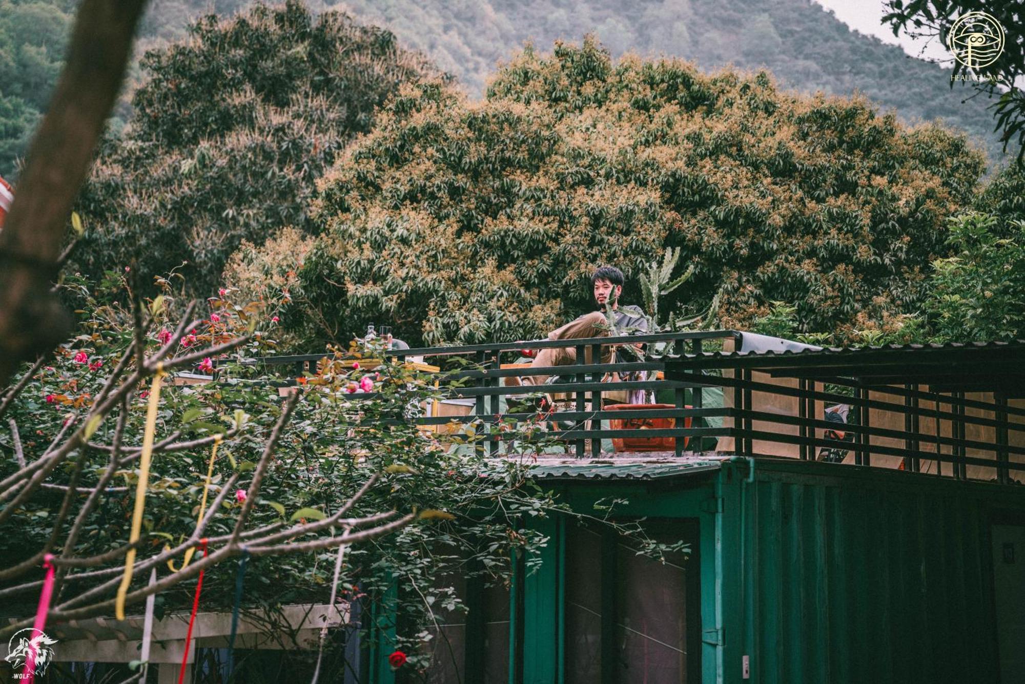 Republic Hostel Cat Ba Xuân Đám Ngoại thất bức ảnh